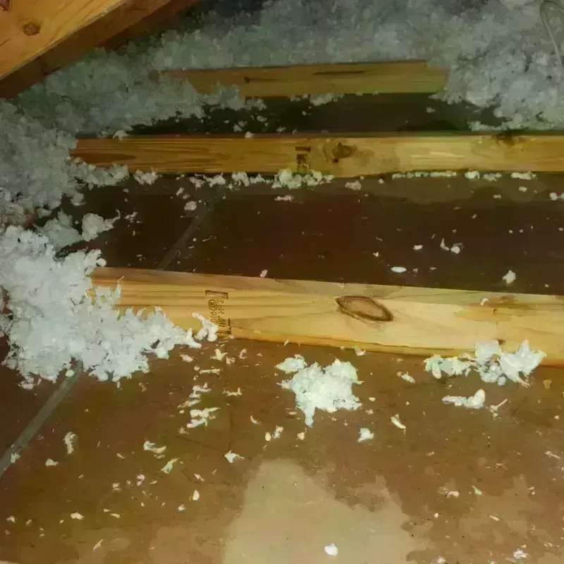 Attic Water Damage in Woodbury, NY